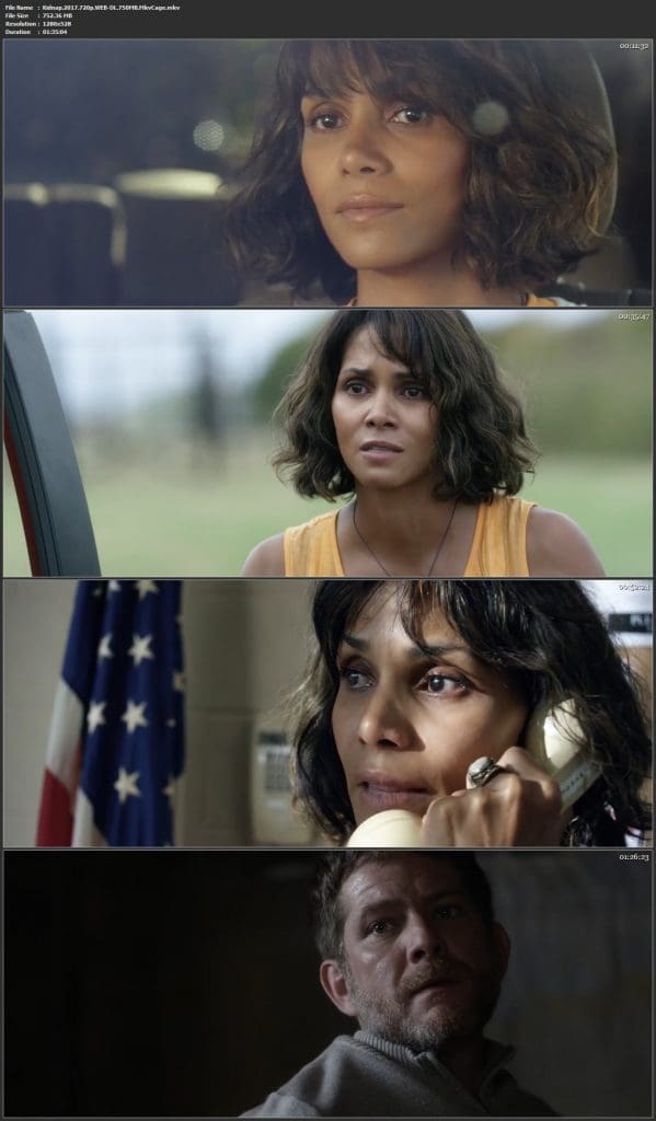Kidnap 2016 Dvdrip Full HD Movie Free Download