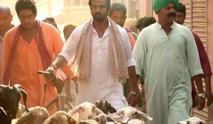 Guddu Rangeela 2015 720p Full Movie Free Download