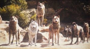 The Jungle Book 2016 Bluray Full HD Movie Free Download
