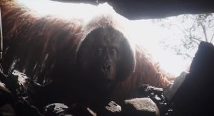 The Jungle Book 2016 Full Movie Free Download