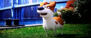 The Secret Life of Pets 2016 Full Movie Download
