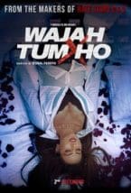 Wajah Tum Ho 2016 Full Movie Free Download Camrip