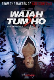 Wajah Tum Ho 2016 Full Movie Free Download