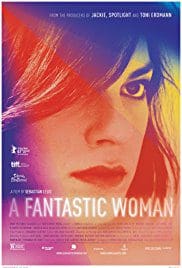 A Fantastic Woman 2018 Full Movie Free Download HD Bluray A Fantastic Woman 2018 Full Movie Free Download HD Bluray