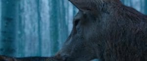 On Body and Soul 2017 Full Movie Free Download Bluray HD