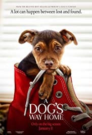 A Dog’s Way Home 2019 Full Movie Free Download HD 720p A Dog’s Way Home 2019 Full Movie Free Download HD 720p
