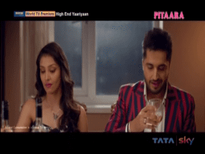 High End Yaariyaan 2019 Full Movie Free Download HDRip
