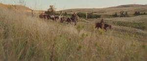 The Ballad of Lefty Brown 2017 Full Movie Download Free HD 720p