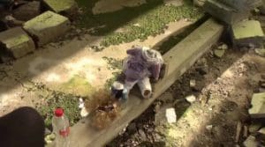 The First Date 2017 Full Movie Download Free HD 720p