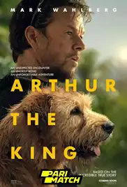 Arthur the King 2024 Full Movie Download Free WebRip 720p Multi Audio Arthur the King 2024 Full Movie Download Free WebRip 720p Multi Audio