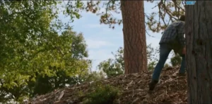 The Keepers of the 5 Kingdoms 2024 Full Movie Download Free HD 720p Dual Audio