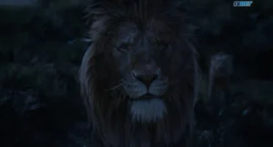 Mufasa The Lion King 2024 Full Movie Download Free HD Web-DL