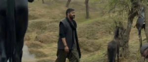 Azaad 2025 Full Movie Download Free HD Web-DL